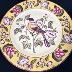 Mark Roberts Style Floral Bird Wall Hanging Plate Porcelain Ceramic 10” Set of 4