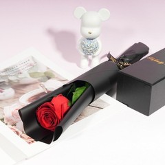 Yamonic Preserved Flowers Red Rose Gifts For Girl Women Mothers