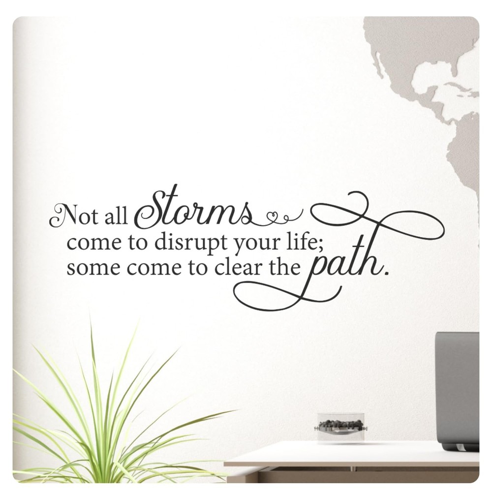 My Vinyl Story Not All Storms Come to Disrupt Your Life; Some Come to Clear T…
