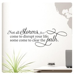 My Vinyl Story Not All Storms Come to Disrupt Your Life; Some Come to Clear T…