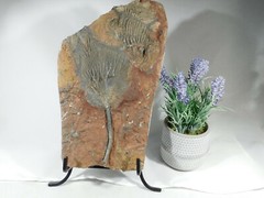 Easel Display Stand Large Size Black Metal