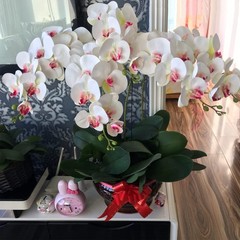 9 Heads Artificial Phalaenopsis Flowers 4 Pcs Artificial Orchid Flowers 42 in…