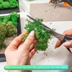 Preserved Reindeer Moss 4 OZ Fake Moss for Crafts Green