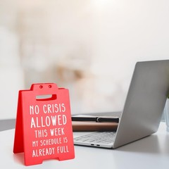 Funny Boss Gifts for Women Men, Boss Lady Gift, White Elephant Gift, Administrat