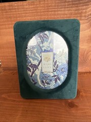 Dwell Studio Soft Smooth Teal Velvet Oval Picture Frame MCM 5×7 Photo