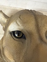 Puma Wall Art Eye-Catching Large Animal Head Fast Shipping