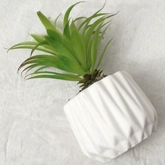 Artificial Succulent Plant in Pot Small Faux Desk Plant for Home & Office Decor