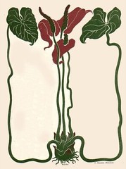 Decoration Poster.Interior design.Room art.Calla.Garden Flower.7377