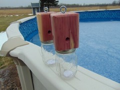 2 Red Cedar Carpenter Bee-bore traps FREE SHIPPING 100% Made in America