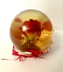 Vtg Forever Red Rose Preserved in Glass Water Globe Romantic Retro Gift Decor 7”