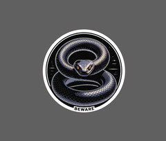 Black Mamba Sticker Animal Pet Wildlife Venomous Danger Gift Waterproof NEW