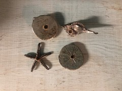 Pottery Barn Vintage Silver Beach Comer’s Magnet Set Decor Sea Life Vase Filler