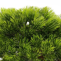 Desktop Artificial Bonsai Tree Artificial Bonsai Pine Tree Realistic Fake Plant
