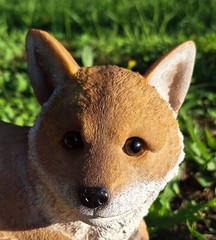 Design Toscano Diablo the Baby Red Fox Statue in Designer Resin