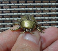 Solid Brass Mini Ladybug Figurine Vintage Style Insect Statue for Garden Deco