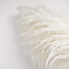 White Pampas Grass Decor 46″ Tall Stems 10 Pieces Large Boho Home Decor