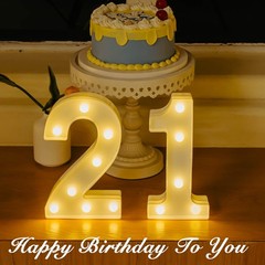 LED Marquee Numbers, Small Light Up Numbers for Party, 8.58 Inch Battery Powe…