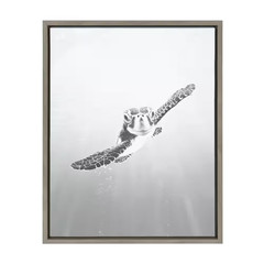 Sylvie «Sea Turtle» by Simon Te of Tai Prints 24 In. X 18 In. Framed Canvas Wall