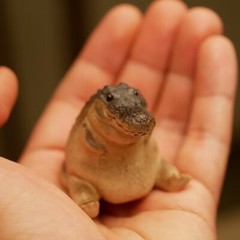Creative Small Tea Pet Collectible Crocodile Statue for Desktop Tea House Decor