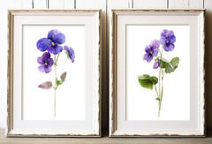 Floral Wall Art Prints, Set of 2 Purple Floral Wall Art Prints, Botanical Decor