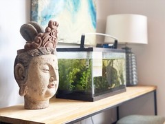 US Seller – Vintage Guanyin Head Chinese Goddess Wooden Sculpture