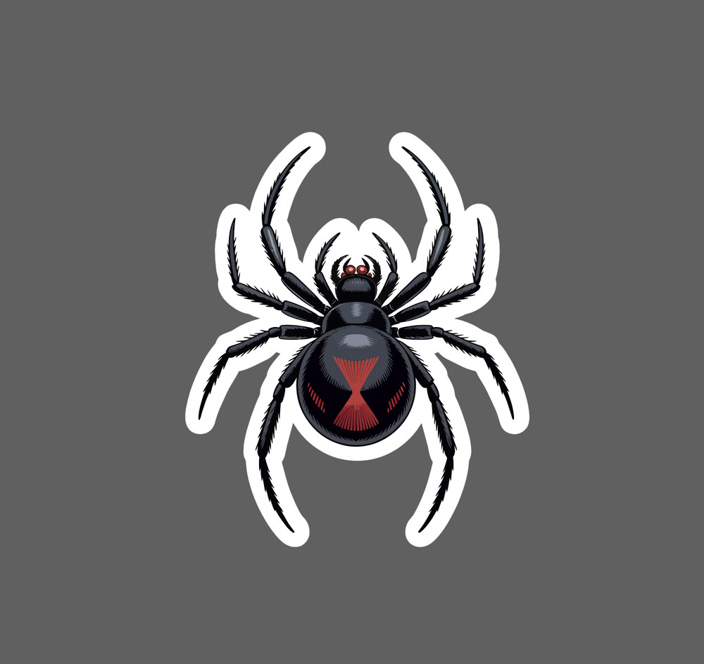 Black Widow Sticker Waterproof Decal Spider Animal Venom Wildlife Gift NEW