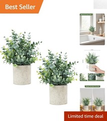 Chic Potted Eucalyptus Plants – Set of 2, Water Resistant, Low Maintenance