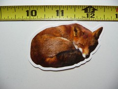 SLEEPING CURLED RED FOX DOG SMALL STICKER DECAL WILDLIFE PRESERVE NATURE ANIMAL