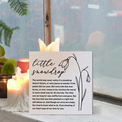 Memorial Gifts for Loss of Baby Infant, Sympathy Gifts for Loss of Loved One …