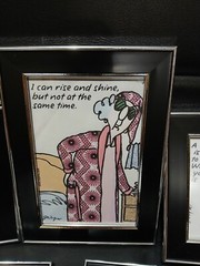 Set Of 5 Maude Sarcastic & Funny Sayings In 7.5″×5.5″ Picture Frames