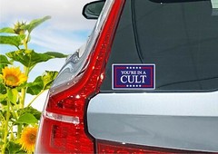Youre In A Cult Decal Sticker Anti Trump MAGA Biden Political 47 Protest Voters