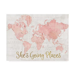 Across the World Shes Going Places Pink by Sue Schlabach Wall Art 14 In. X 19 In