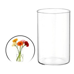 Small Clear Cylinder Vases 4 Inch Tall Glass Flower Vase for Table Decor 8oz