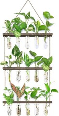 Natural Wood and Glass Propagation Station – 5 Tubes for Home Elegance