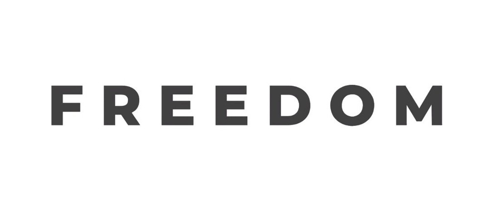 (2) FREEDOM Decal Vinyl Transfer Sticker Die Cut Car Window Laptop Charlie Kirk