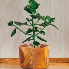 Teak Fruit Bowl Reclaimed Teak 8.3» Tall Solid Teak Root Bowl Home Decor