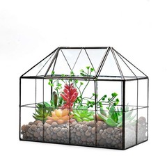 Glass Terrarium Planter for Succulents – 9.8″ x 7.9″ x 5.9″ Greenhouse with Lid