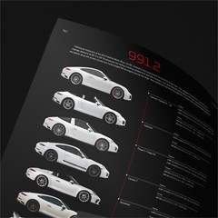 991.2 Models- Poster Decor