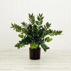 28 In. Green Artificial Zamioculcas Plant Home Decor