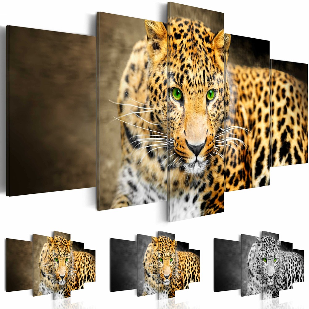 LEOPARD ANIMAL Canvas Wall Art Image Photo Print g-A-0086-b-n