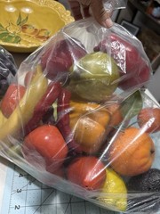 Plastic Assorted Artificial Fruit & Vegetable Decor Lot, Multicolor, 10+ Pcs