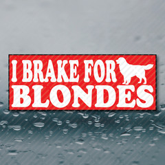 I BRAKE FOR BLONDES Golden Retriever Funny Meme Prank Gag Gift Joke Sticker 8×3