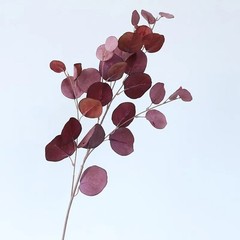 Eucalyptus Leaf Artificial Plants Wall MoneyFake Flowers Arrangement Accessories
