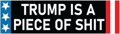 Anti-Trump Funny Vinyl Bumper Sticker Weatherproof Decal – 9 x 2.5 Inches
