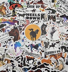 50 pcs Horse Stickers Equestrian Sport Decals DIY Crafting