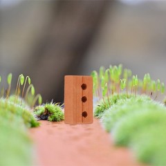 50 Pcs Landscape Bricks Building Blocks Dolls Clay Tiles Diy Miniature Models
