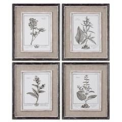 Uttermost Casual Grey Study Framed Art Set of 4 – 32510
