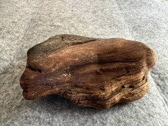 Natural Driftwood Root Burl Wood Sculpture Rustic Organic Display Piece 7.6 oz