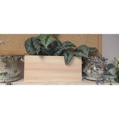 4 Wood Planters for Walls or Table Decoration for any room