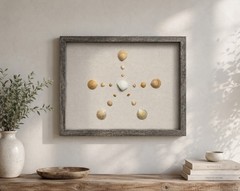 Wood Shadow Box Frame Seashell Coastal Beach Wall Mount Gray/Beige Clear Glass